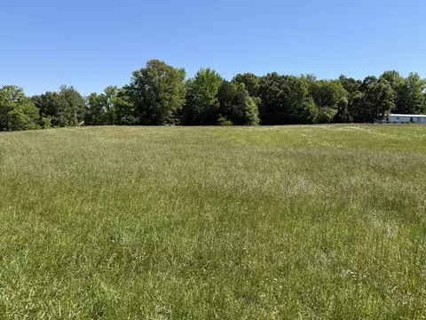 0 Flewellen Rd, Springfield, TN 37172