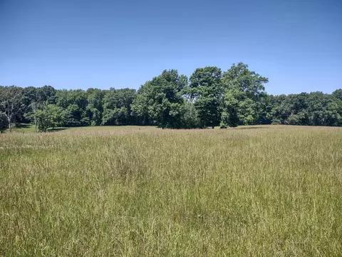 3 Valley Rd, Springfield, TN 37172 photo 3