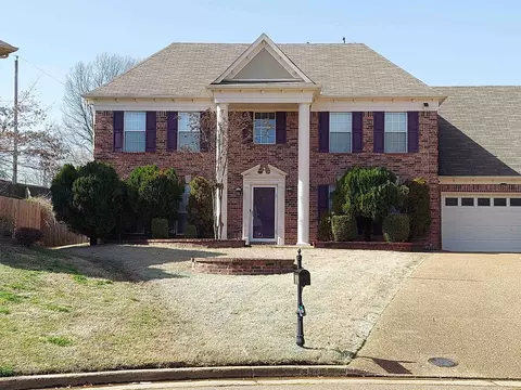8316 Dunnan Cv, Cordova, TN 38016