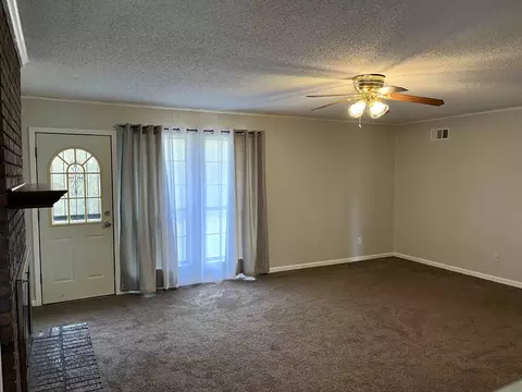 3924 Sabal Hill Dr, Memphis, TN 38135 photo 8