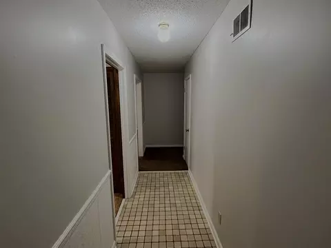3924 Sabal Hill Dr, Memphis, TN 38135 photo 3