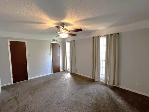 3924 Sabal Hill Dr, Memphis, TN 38135 photo 10