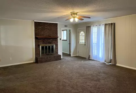 3924 Sabal Hill Dr, Memphis, TN 38135 photo 7
