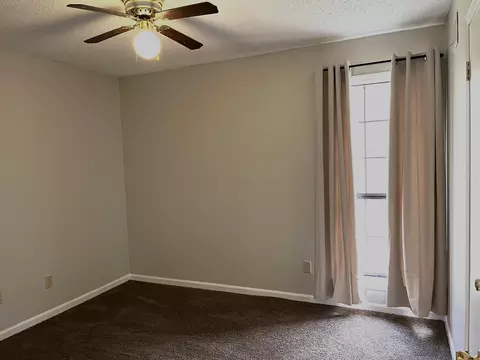 3924 Sabal Hill Dr, Memphis, TN 38135 photo 12