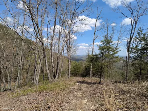 10 Escape Dr, Evensville, TN 37332