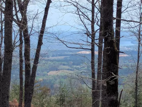 17 Duckwood Ln, Evensville, TN 37332