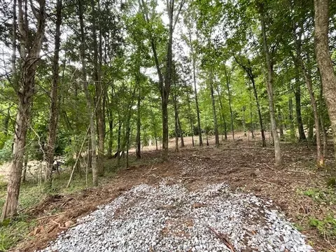 4595 Chapel Hill Rd, Southside, TN 37171