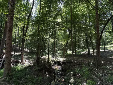 0 Littrell Rd, Loretto, TN 38469 photo 4