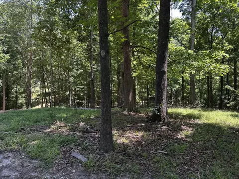 0 Littrell Rd, Loretto, TN 38469 photo 10