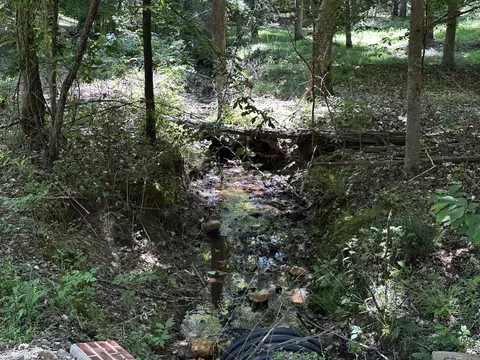 0 Littrell Rd, Loretto, TN 38469 photo 3