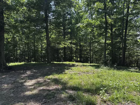 0 Littrell Rd, Loretto, TN 38469 photo 9