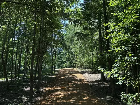 0 Littrell Rd, Loretto, TN 38469 photo 5