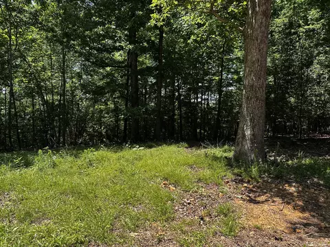 0 Littrell Rd, Loretto, TN 38469 photo 8