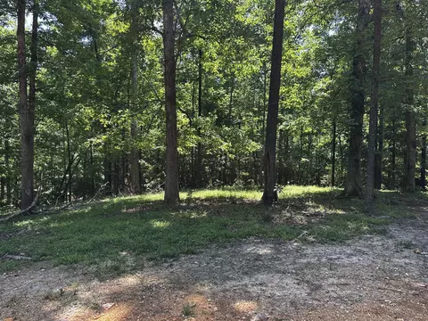0 Littrell Rd, Loretto, TN 38469 photo 7
