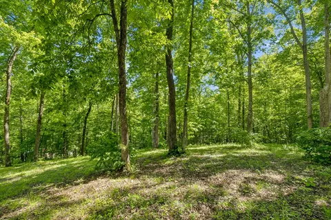 Exterior - 314 Ginger Dr, Dover, TN 37058 photo 11 of 20