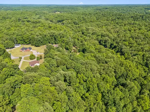 View/Area - 314 Ginger Dr, Dover, TN 37058 photo 7 of 7