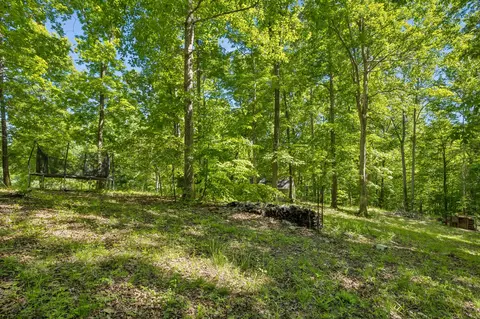 Exterior - 314 Ginger Dr, Dover, TN 37058 photo 19 of 20