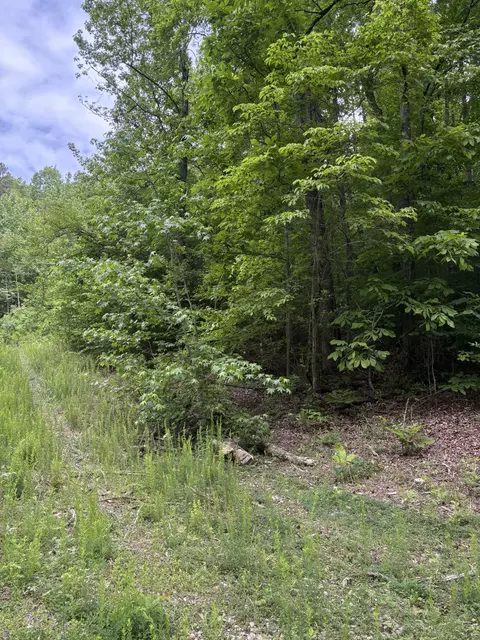 225 Hollow Rd, Whitwell, TN 37397