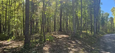 208 Old Furnace Rd, Tellico Plains, TN 37385