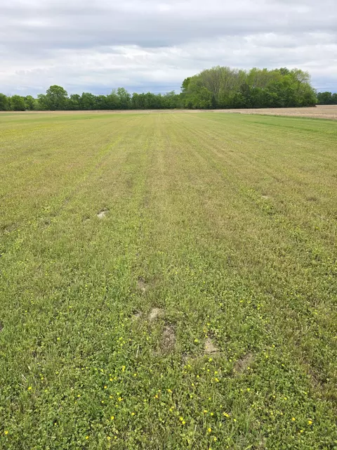 0 Shoemaker Rd, Eagleville, TN 37060 photo 10