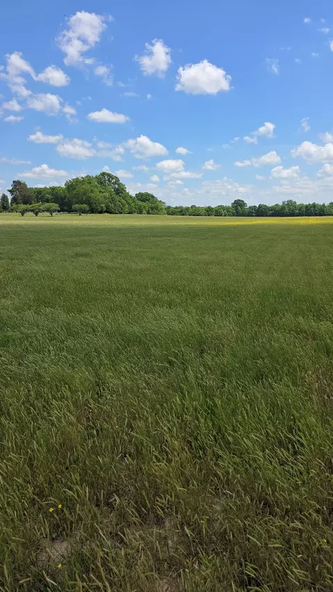 0 Shoemaker Rd, Eagleville, TN 37060 photo 6
