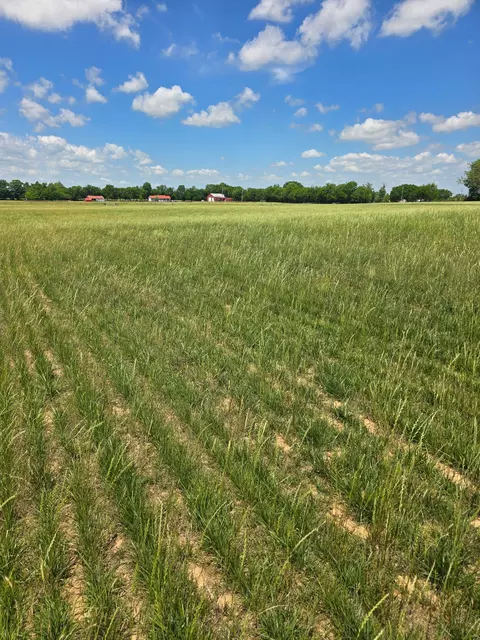 0 Shoemaker Rd, Eagleville, TN 37060 photo 7
