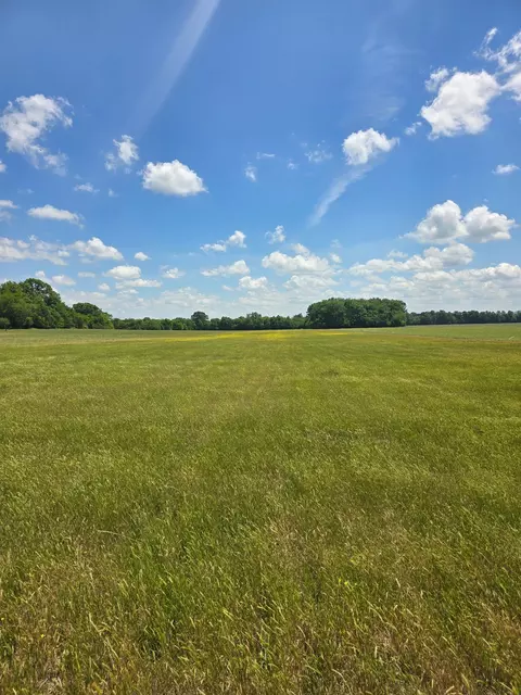 0 Shoemaker Rd, Eagleville, TN 37060 photo 5