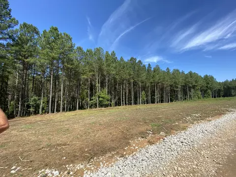 940 Crockett Pt, Jasper, TN 37347