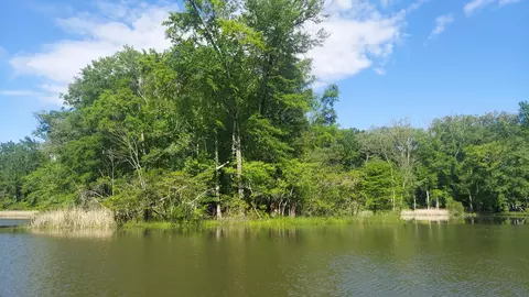 45 Warren Ln, Decatur, TN 37322