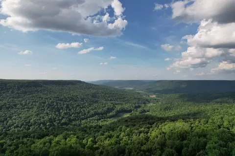 309 Blackberry Rd, Beersheba Springs, TN 37305