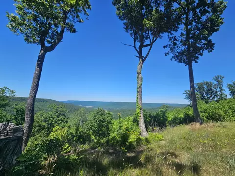 309 Blackberry Rd, Beersheba Springs, TN 37305