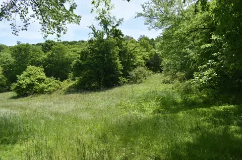 0 Brooks Bend Ln, Gainesboro, TN 38562