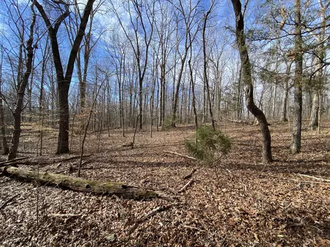 7119 Old Cox Pike, Fairview, TN 37062