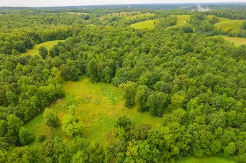 2119 Bunches Chapel Rd, Parsons, TN 38363
