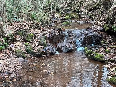 0 County Road 484, Englewood, TN 37329