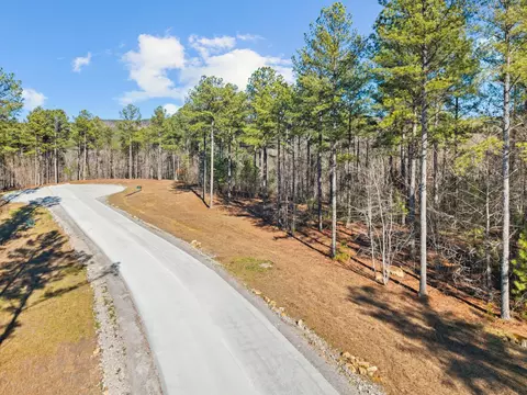 0 Farm Rd, Guild, TN 37340 photo 8