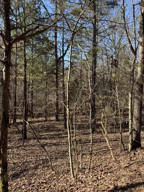 2311 John Wesley Trl, Harrison, TN 37341