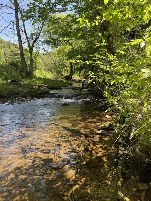 915 Chestnut Valley Rd, Vonore, TN 37885