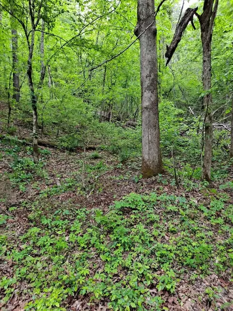 0 Childers Crk, Reliance, TN 37369
