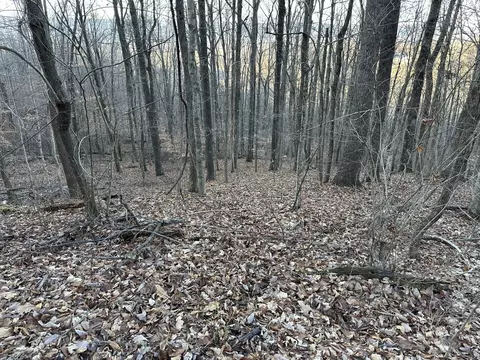 76 Fox Rdg, Pikeville, TN 37367