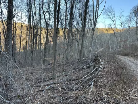 3233 Stone Ridge Road Rd, Pikeville, TN 37367
