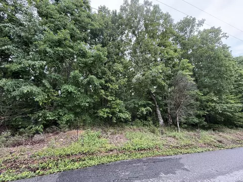 2 Anglin Ridge Rd, Dover, TN 37058 photo 2