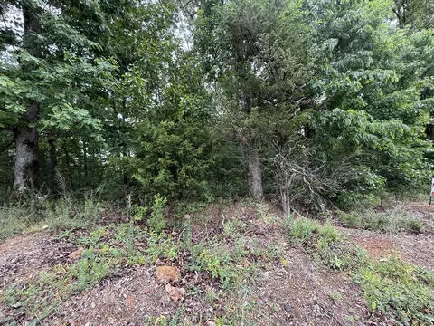 2 Anglin Ridge Rd, Dover, TN 37058 photo 3