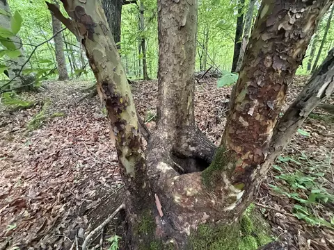 0 Upperstanding Rock Rd # A, Dover, TN 37058 photo 4