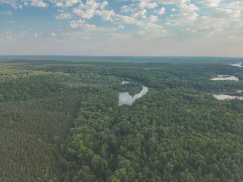 0 Bunches Chapel Rd, Parsons, TN 38363