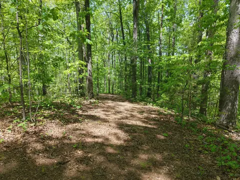 0 Sloan Gap Rd, Ocoee, TN 37361 photo 9