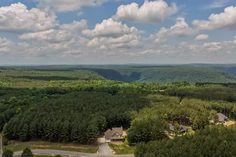 View/Area - 2485 River Bluffs Dr, Jasper, TN 37347 photo 5 of 14