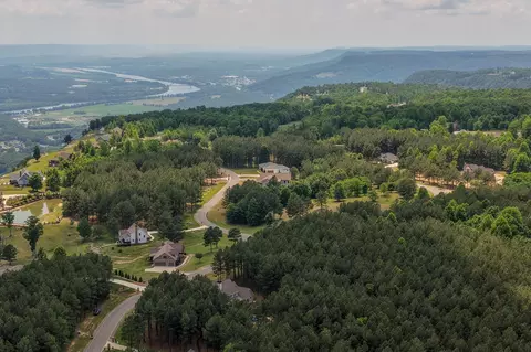 View/Area - 2485 River Bluffs Dr, Jasper, TN 37347 photo 4 of 14