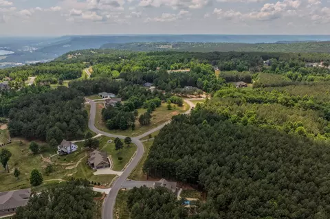 View/Area - 2485 River Bluffs Dr, Jasper, TN 37347 photo 12 of 14