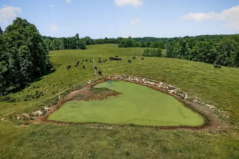 View/Area - 8495 Baxter Rd, Baxter, TN 38544 photo 6 of 8